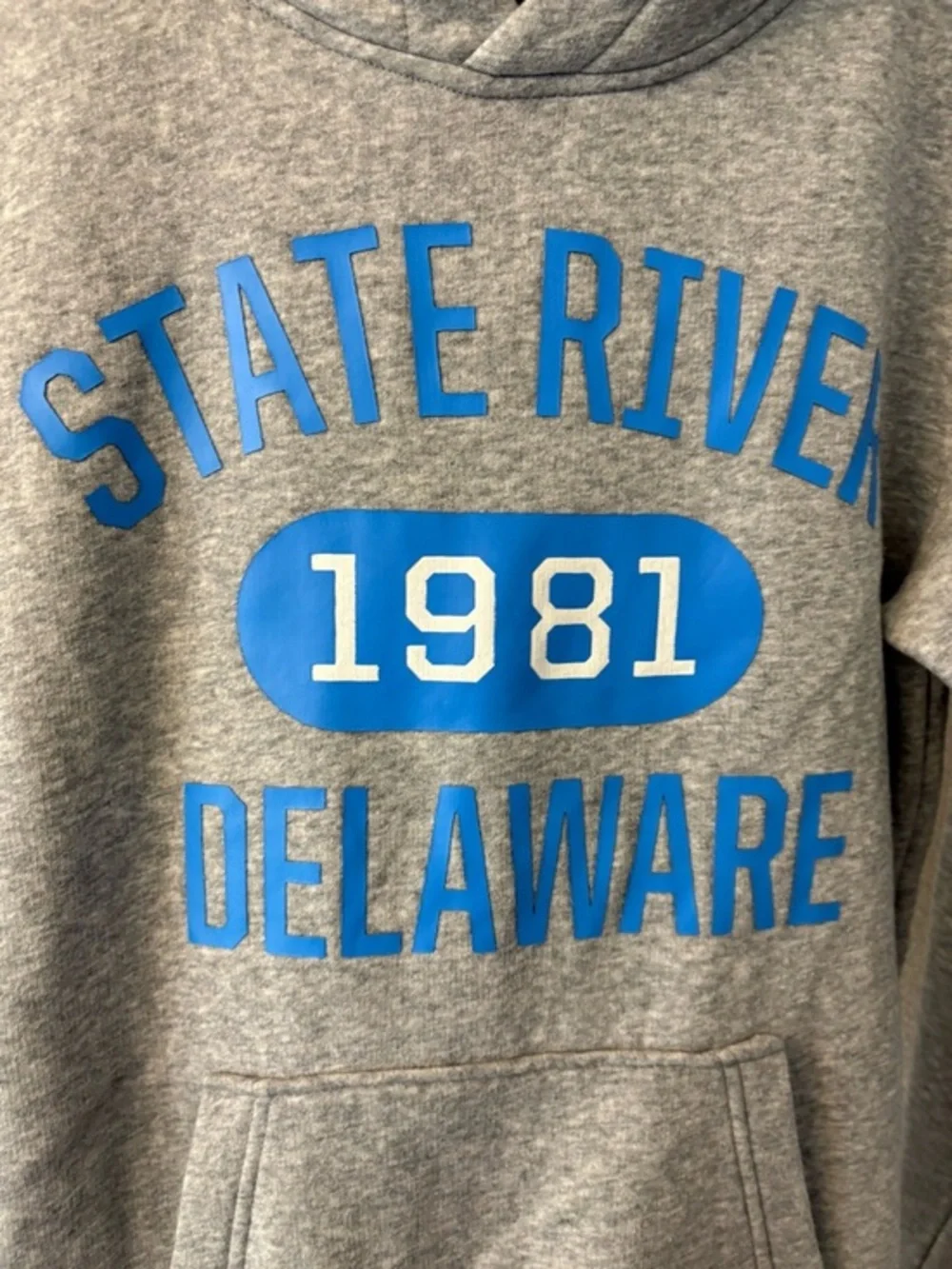 H&M Gray & Blue State River 1981 D
Hoodie Sweatshirt Size 14 Years Cotton - Picture 3 of 12